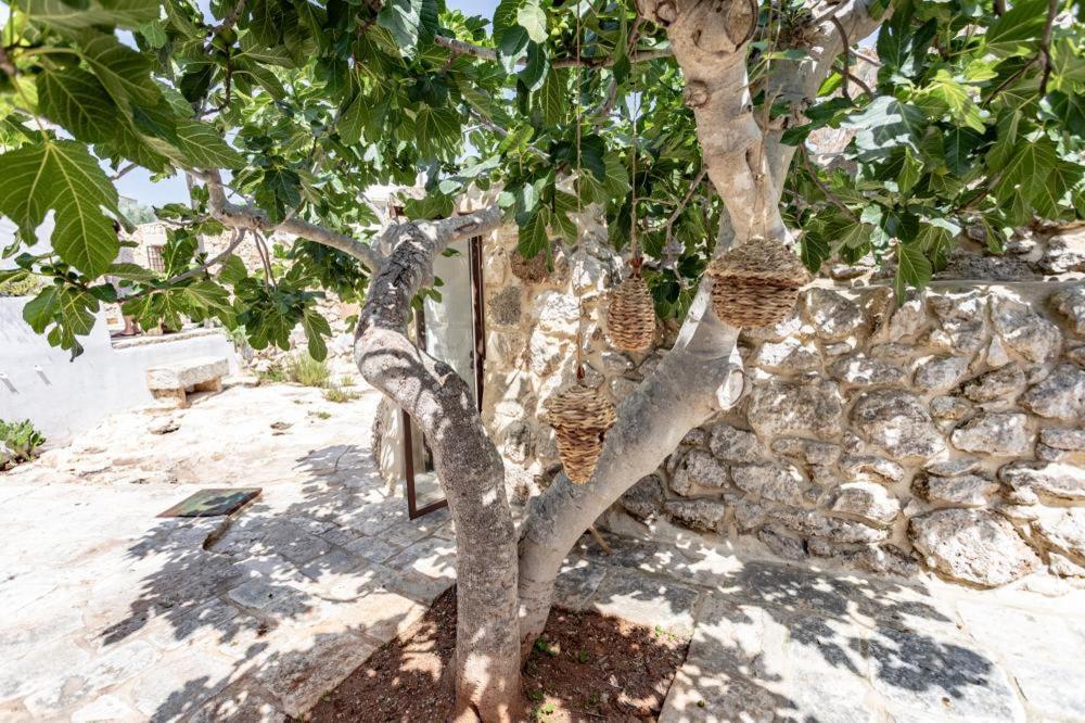 Trullo Santovia Bed & Breakfast Sant Isidoro  Exterior foto
